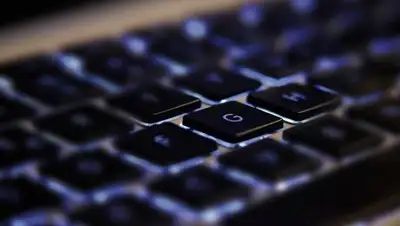 Pixabay, фото - Новости Zakon.kz от 31.10.2020 22:01