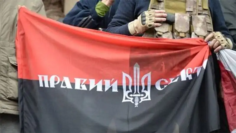 "Правый Сектор" не будет участвовать в досрочных выборах Рады