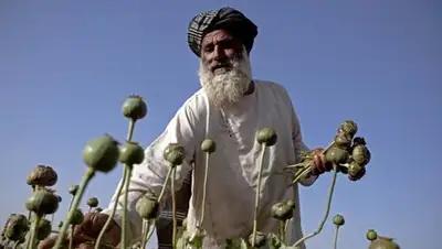 Zakon.kz, фото - Новости Zakon.kz от 04.11.2014 17:12