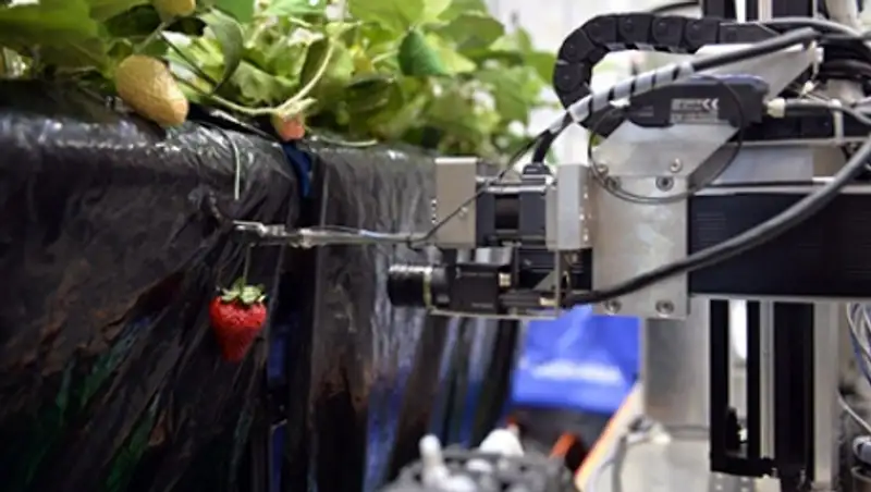 Япония потратит 20 миллиардов долларов на роботов