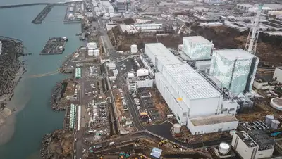 Global Look Press/Richard Atrero de Guzman, фото - Новости Zakon.kz от 14.07.2020 23:11