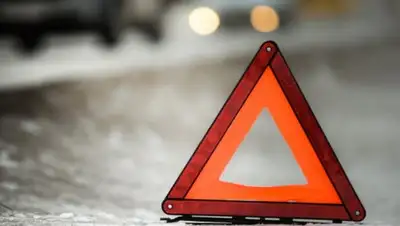 novostivolgograda.ru, фото - Новости Zakon.kz от 23.04.2018 13:00