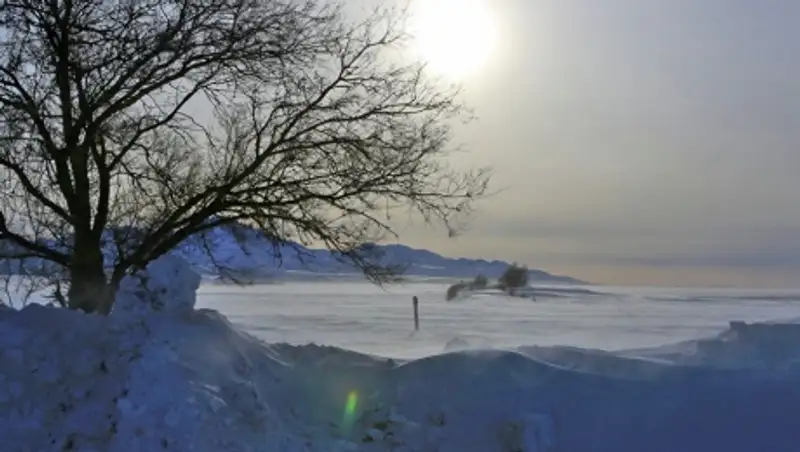 Пропавший в метель работник акмолинского охотхозяйства найден мертвым  