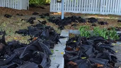 Zakon.kz, фото - Новости Zakon.kz от 19.11.2014 21:41