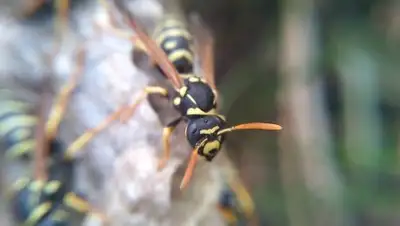 Zakon.kz, фото - Новости Zakon.kz от 22.08.2017 13:03