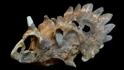 Zakon.kz, фото - Новости Zakon.kz от 06.06.2015 14:31