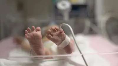 Фото: krasaru.ru, фото - Новости Zakon.kz от 28.12.2017 06:00