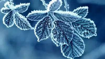 Zakon.kz, фото - Новости Zakon.kz от 20.02.2017 12:00