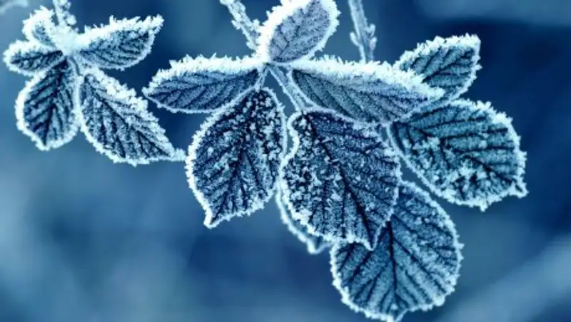 Туман и гололед ожидают казахстанцев в понедельник