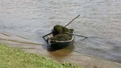 Zakon.kz, фото - Новости Zakon.kz от 19.07.2015 17:12