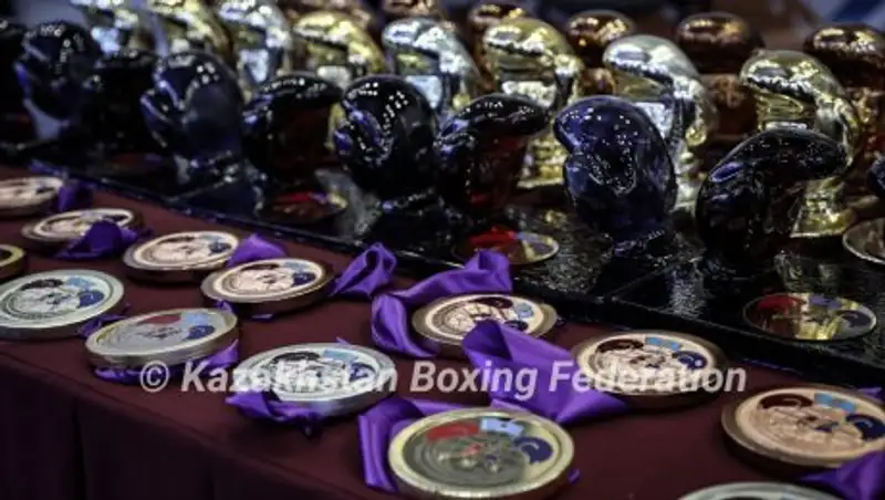 10 золотых медалей завоевал Казахстан на Кубке Президента РК по боксу