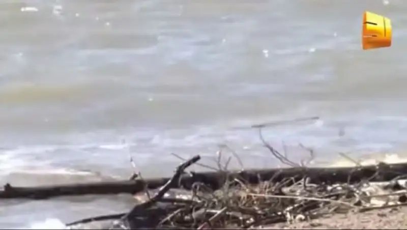 5 лет тюрьмы грозит учителям из ЗКО, допустившим гибель школьника на экскурсии