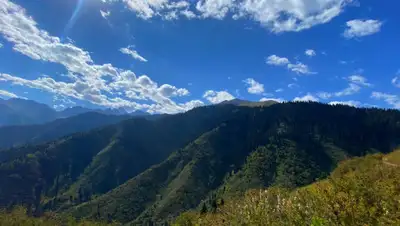 Zakon.kz, фото - Новости Zakon.kz от 26.08.2020 16:10