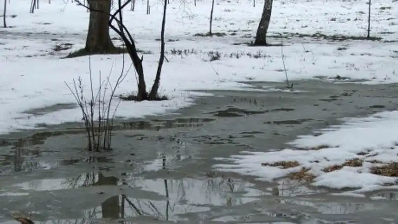 Неустойчивая погода сохраняется в Казахстане