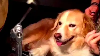 Zakon.kz, фото - Новости Zakon.kz от 01.04.2015 21:25