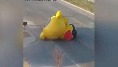 6abc.com, фото - Новости Zakon.kz от 30.04.2018 18:11