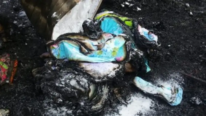 В ЮКО сгорел сельский рынок