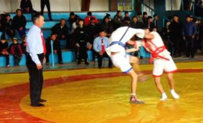 В Кызылординской области прошел областной турнир, фото - Новости Zakon.kz от 12.11.2013 21:00