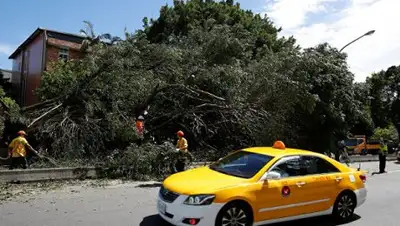 Zakon.kz, фото - Новости Zakon.kz от 31.07.2017 22:26