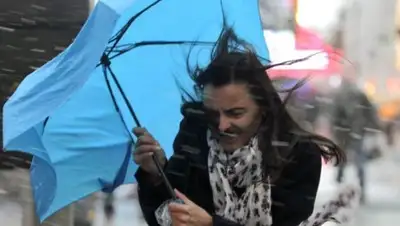 khabar.kz, фото - Новости Zakon.kz от 24.04.2018 13:27