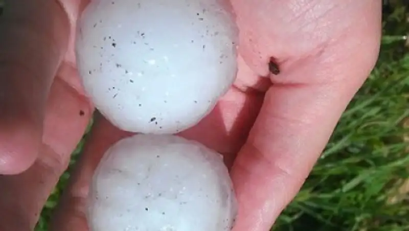 В Костанайской области из-за сильного града пострадали посевы