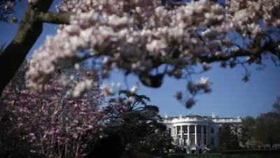 Фото: Jason Reed / REUTERS, фото - Новости Zakon.kz от 27.12.2017 07:09