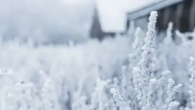 pxhere.com, фото - Новости Zakon.kz от 05.02.2019 09:29