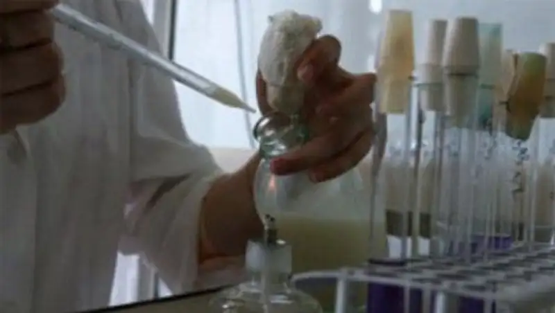 Для установления причин сонной болезни в Калачах создана межведомственная рабочая группа