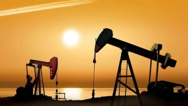 Министр энергетики: Казахстан выполнит обязательства перед ОПЕК по снижению добычи нефти