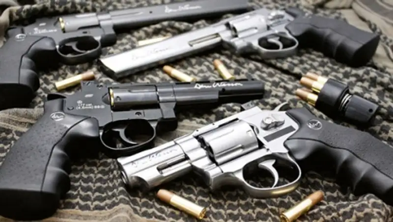 Немецкие бизнесмены нелегально продавали оружие и боеприпасы в Казахстан - СМИ