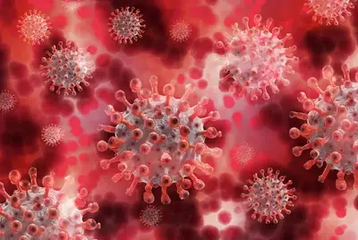 Опубликованы данные о заболеваемости коронавирусом, летальных исход, фото - Новости Zakon.kz от 29.12.2022 08:35