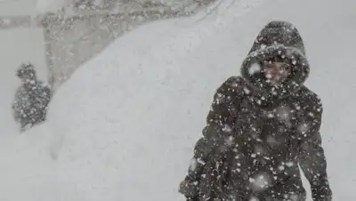 Zakon.kz, фото - Новости Zakon.kz от 29.12.2017 09:44