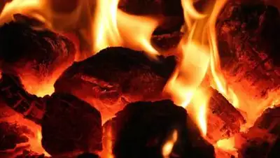 pixabay.com, фото - Новости Zakon.kz от 26.01.2021 12:38