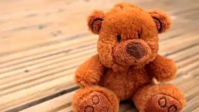 pixabay, фото - Новости Zakon.kz от 22.10.2021 07:35