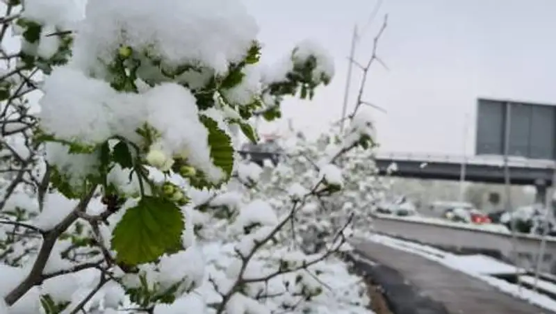 Алматы завалило апрельским снегом