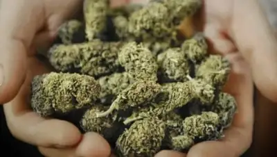 Zakon.kz, фото - Новости Zakon.kz от 30.01.2017 17:49