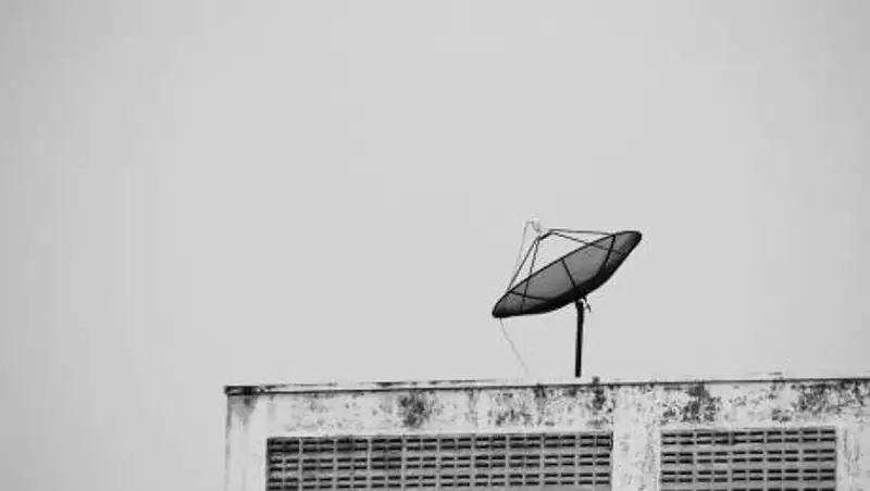 Рождественский телеканал BoXmas начал вещание