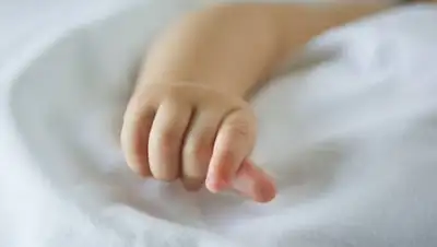 liter.kz, фото - Новости Zakon.kz от 29.09.2020 09:19