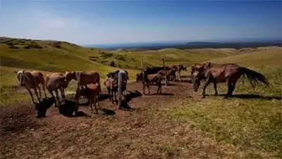 Zakon.kz, фото - Новости Zakon.kz от 22.09.2014 22:52
