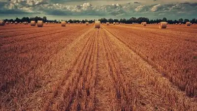 Pixabay, фото - Новости Zakon.kz от 17.09.2020 20:43