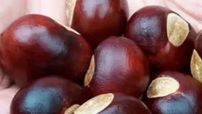 Zakon.kz, фото - Новости Zakon.kz от 27.10.2017 22:49