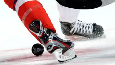 Zakon.kz, фото - Новости Zakon.kz от 12.02.2016 16:46