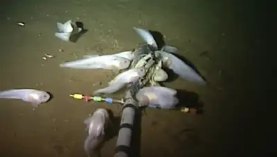 РИА Новости, фото - Новости Zakon.kz от 02.12.2017 19:21