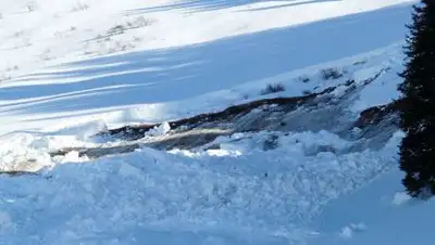 Pixabay, фото - Новости Zakon.kz от 05.03.2021 09:57