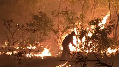 пресс-служба, фото - Новости Zakon.kz от 03.08.2020 10:43
