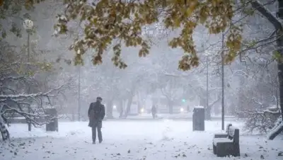 Zakon.kz, фото - Новости Zakon.kz от 08.11.2017 06:00