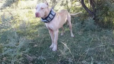 Zakon.kz, фото - Новости Zakon.kz от 23.06.2016 17:22