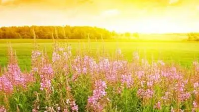 Zakon.kz, фото - Новости Zakon.kz от 30.06.2014 01:54