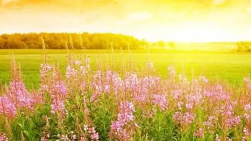 На большей части Казахстана сохраняется сильная жара