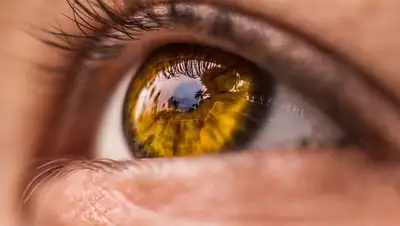 из открытых источников, фото - Новости Zakon.kz от 07.02.2019 14:35